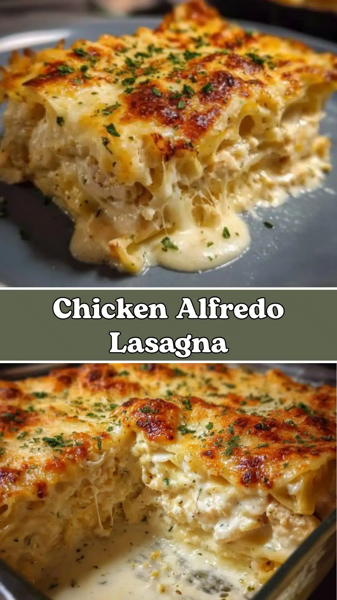Chicken Alfredo Lasagna